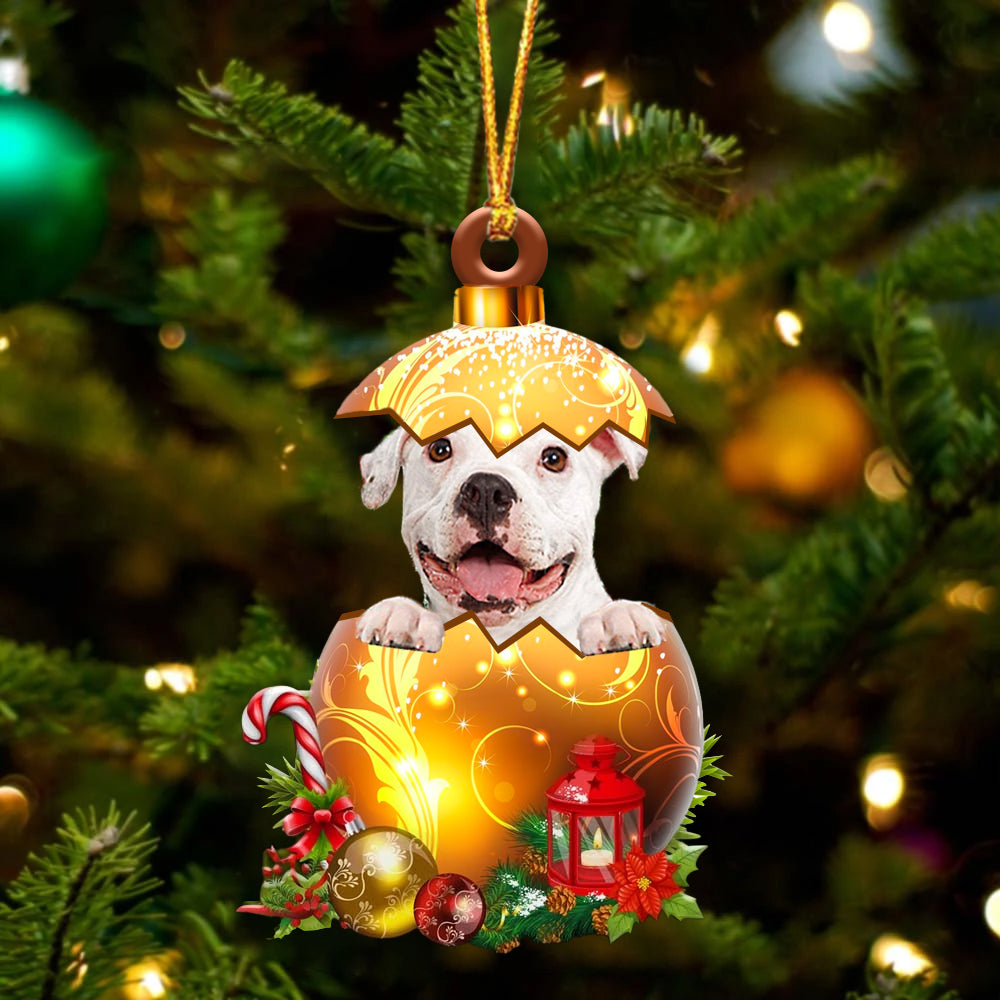 WHITE Pitbull In Golden Egg Christmas Ornament - Best gifts your whole family