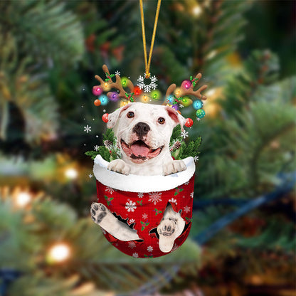 White Pitbulll-In Christmas Pocket Two Sides Ornament, Christmas Dog Hanging Ornament - Best gifts your whole family
