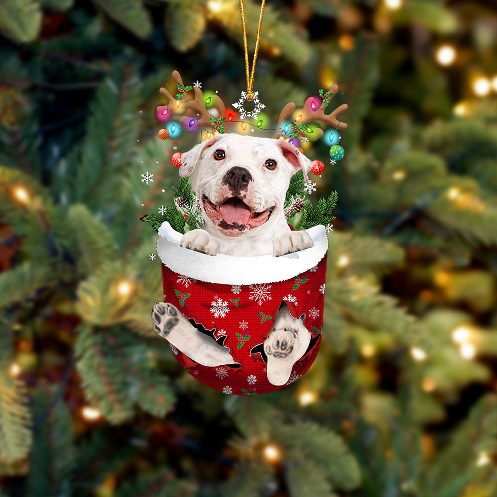 WHITE Pitbulll In Snow Pocket Christmas Ornament Flat Acrylic Dog Ornament - Best gifts your whole family