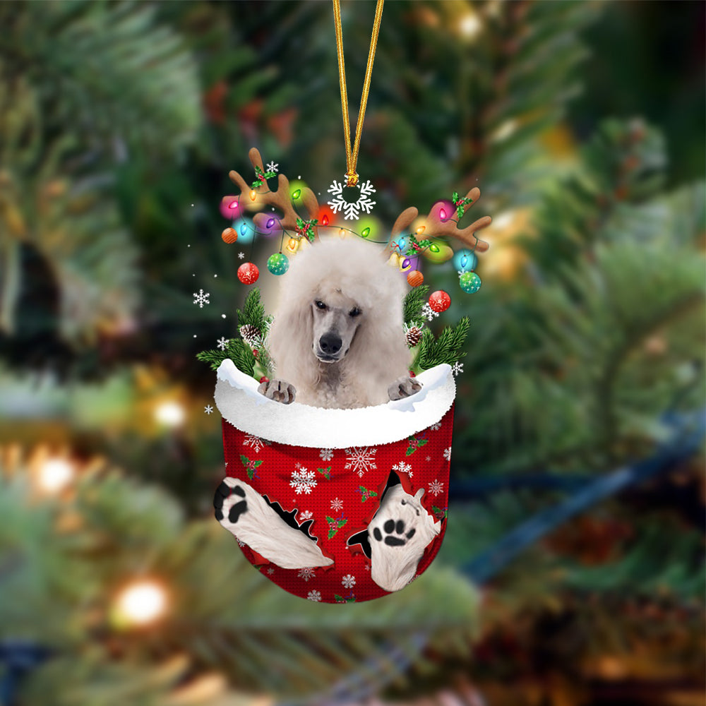 White Standard Poodle-In Christmas Pocket Two Sides Ornament, Christmas Dog Hanging Ornament - Best gifts your whole family