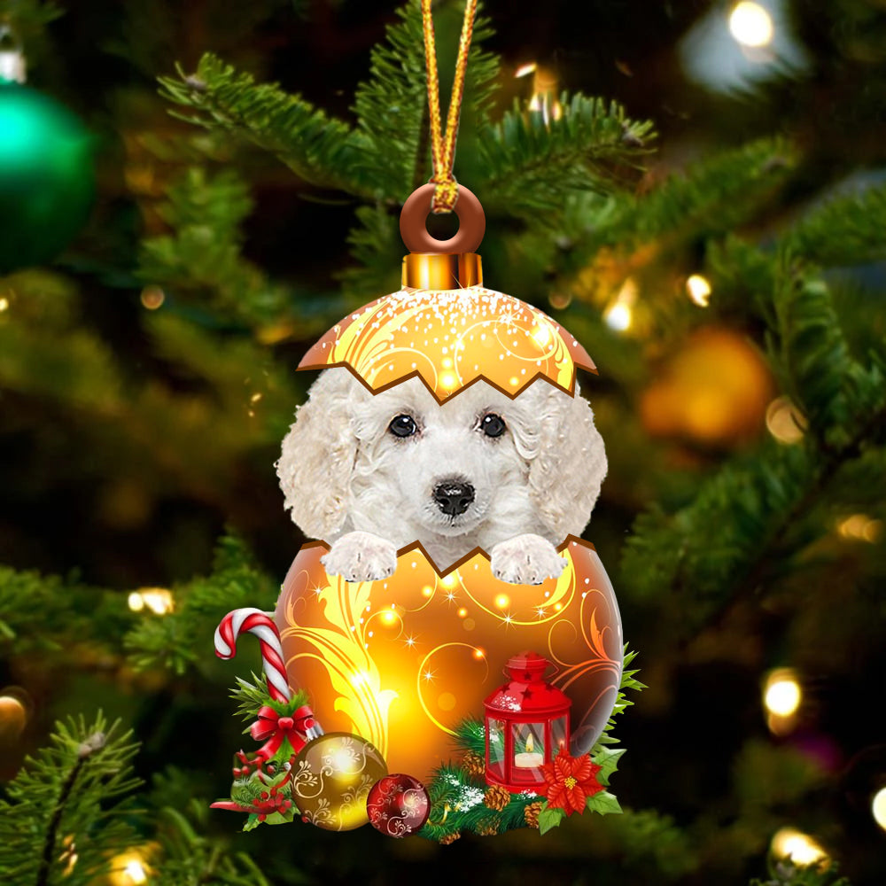 WHITE Toy Poodle In Golden Egg Christmas Ornament - Best gifts your whole family