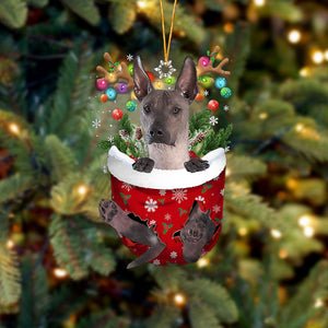 Xoloitzcuintli In Snow Pocket Christmas Ornament Flat Acrylic Dog Ornament - Best gifts your whole family